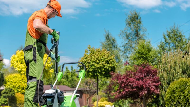 Services de jardinage à domicile - Service à la personne Yvelines, Aide